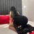 Bursa Escort Bayan ELENA - Sizin Eviniz + Otel - Image 9